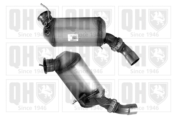 Soot/Particulate Filter, exhaust system (QDPF11109H)