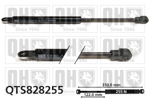 Gas Spring, rear window (QTS828255)