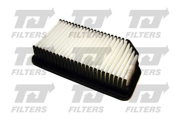 Air Filter (QFA0910)