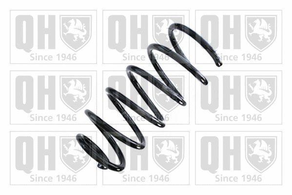 Suspension Spring (QCS9024)