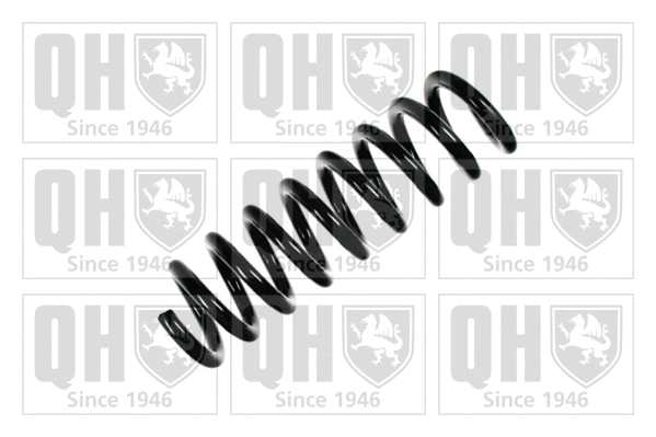 Suspension Spring (QCS5506)