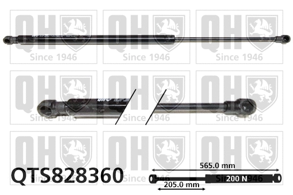 Gas Spring, convertible top (QTS828360)
