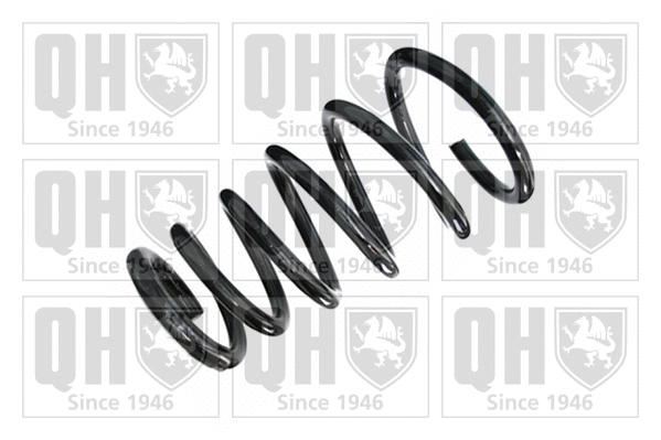 Suspension Spring (QCS5160)