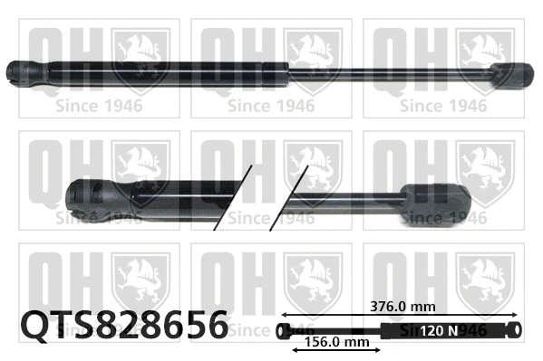 Gas Spring, boot/cargo area (QTS828656)