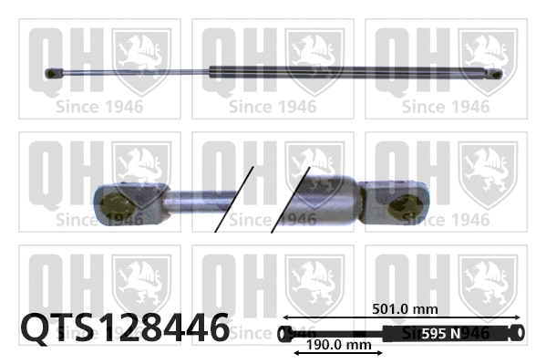 Gas Spring, boot/cargo area (QTS128446)