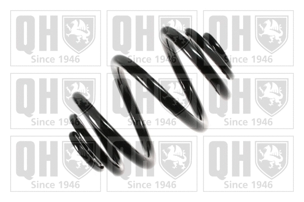Suspension Spring (QCS6870)