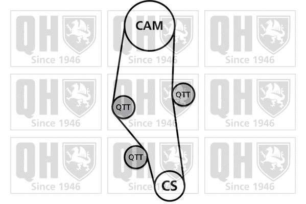 Timing Belt Kit (QBK216)