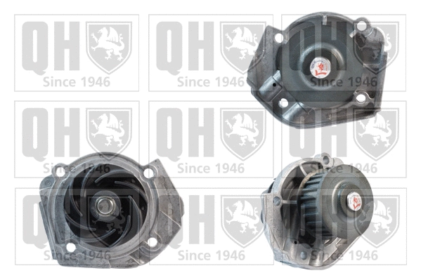 Water Pump, engine cooling (QCP3435)