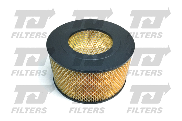 Air Filter (QFA0675)