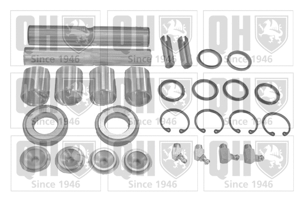 Repair Kit, kingpin (QP761T)