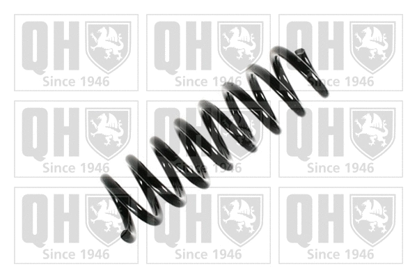 Suspension Spring (QCS7728)