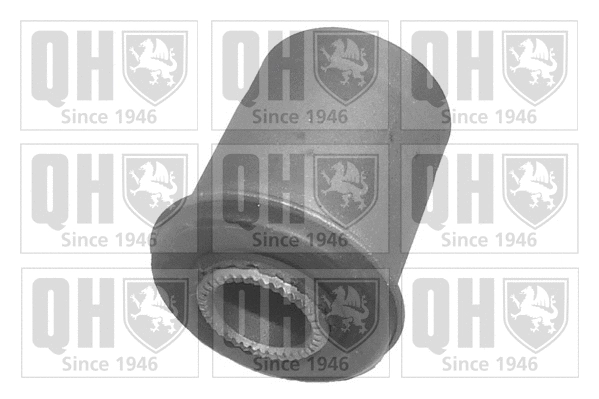 Mounting, control/trailing arm (EMS8029)