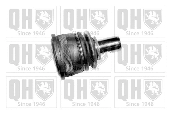 Ball Joint (QSJ971S)