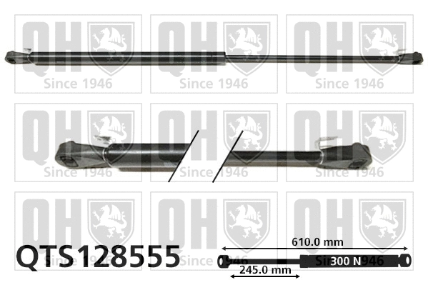 Gas Spring, boot/cargo area (QTS128555)