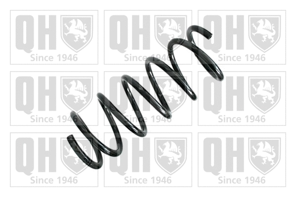 Suspension Spring (QCS8213)