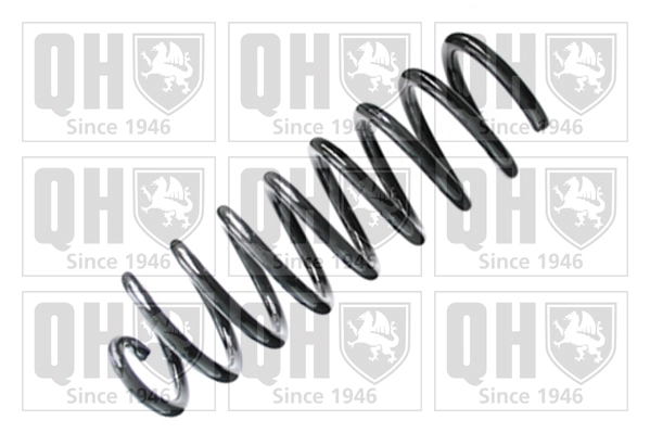 Suspension Spring (QCS8377)