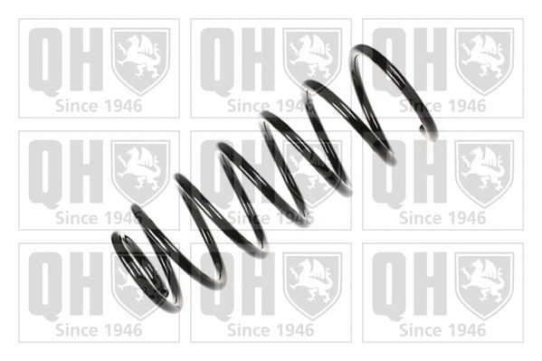 Suspension Spring (QCS8056)