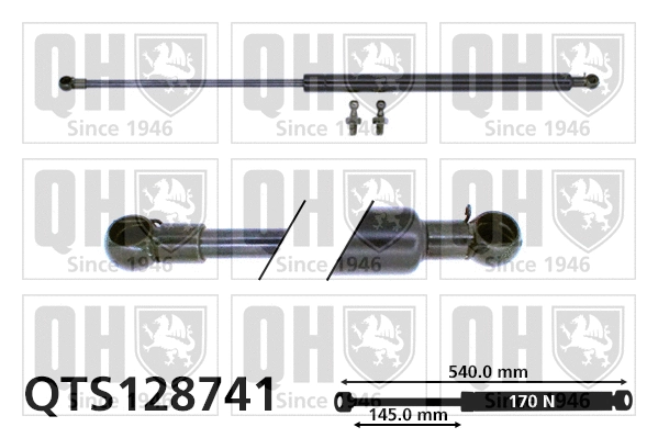 Gas Spring, rear window (QTS128741)
