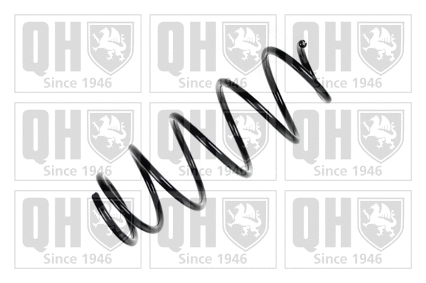 Suspension Spring (QCS5493)