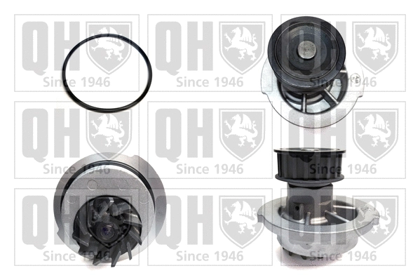 Water Pump, engine cooling (QCP3454)
