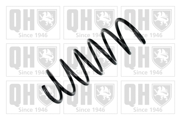 Suspension Spring (QCS5275)