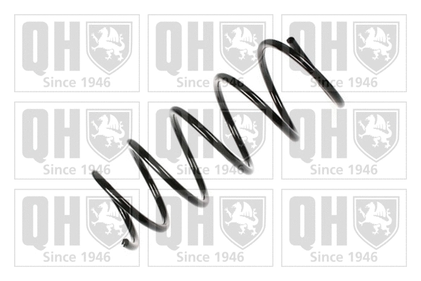 Suspension Spring (QCS6664)