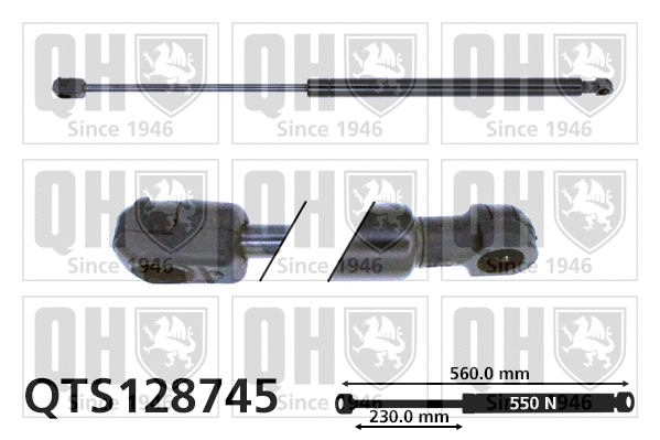 Gas Spring, boot/cargo area (QTS128745)