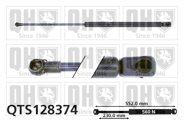 Gas Spring, boot/cargo area (QTS128374)