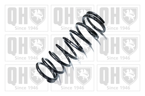 Suspension Spring (QCS6788)