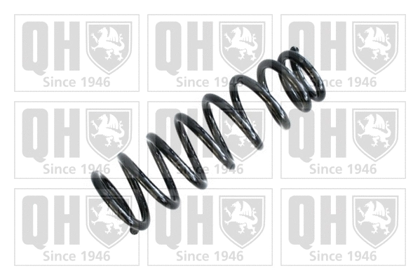 Suspension Spring (QCS7292)