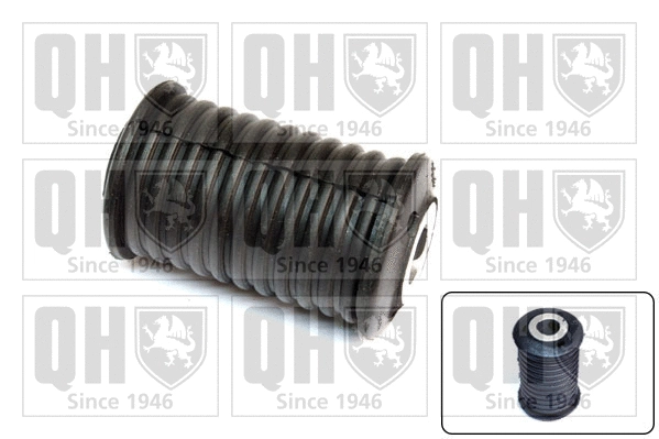 Bushing, leaf spring (EMS8494)