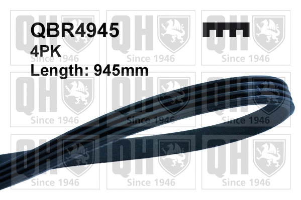 V-Ribbed Belt (QBR4945)