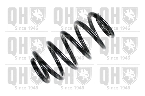 Suspension Spring (QCS6612)