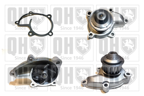 Water Pump, engine cooling (QCP2861)