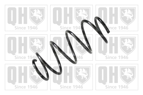 Suspension Spring (QCS7738)