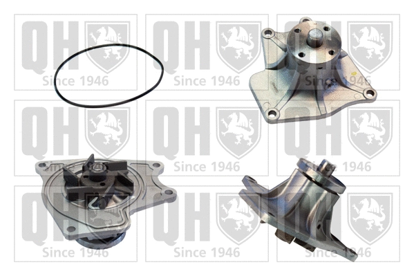 Water Pump, engine cooling (QCP3447)