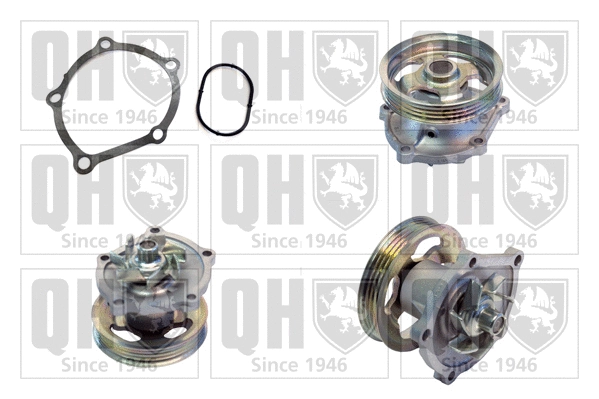 Water Pump, engine cooling (QCP3773)