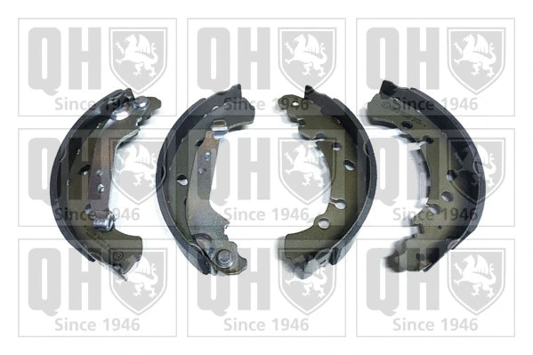 Brake Shoe Set (BS1199)