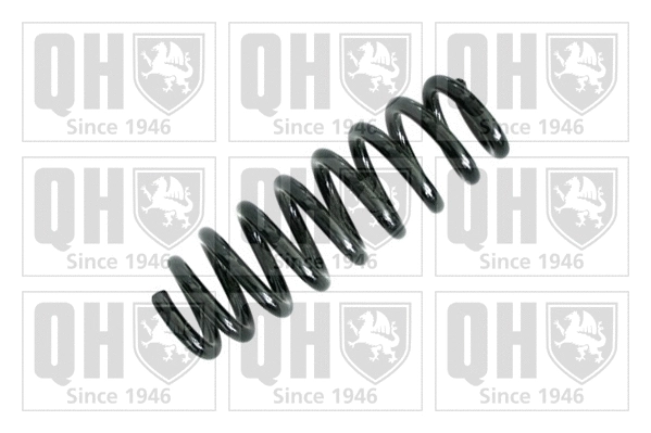 Suspension Spring (QCS6070)