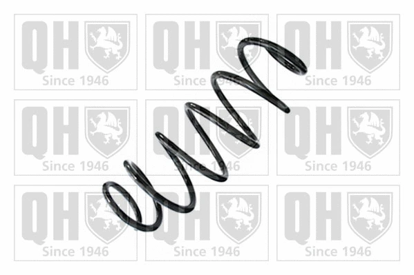 Suspension Spring (QCS8879)