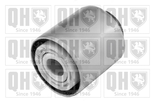 Bushing, axle beam (EMS8292)