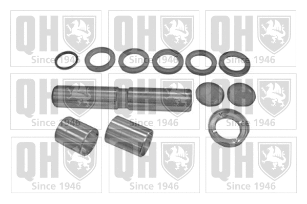 Repair Kit, kingpin (QP763T)