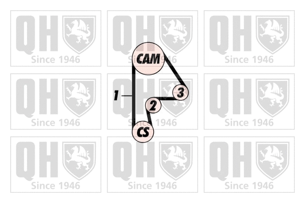 Timing Belt Kit (QBK389)