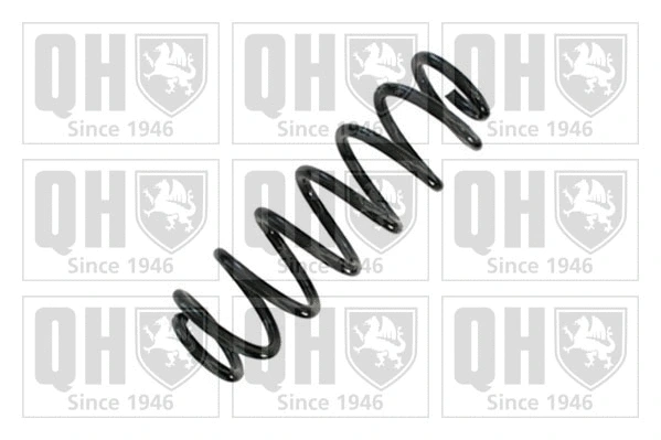 Suspension Spring (QCS9183)