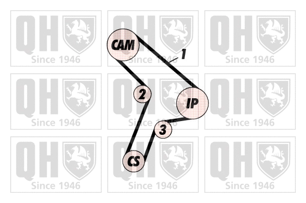 Timing Belt Kit (QBK307)