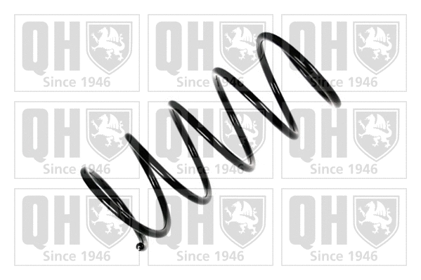 Suspension Spring (QCS8139)