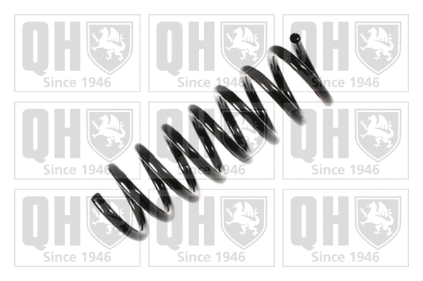 Suspension Spring (QCS5659)