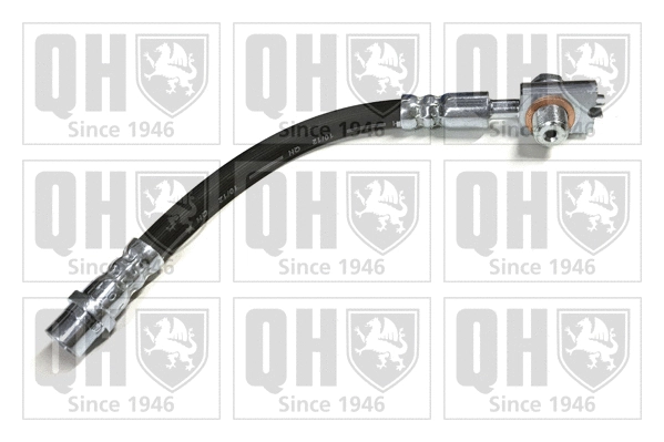 Brake Hose (BFH5569)