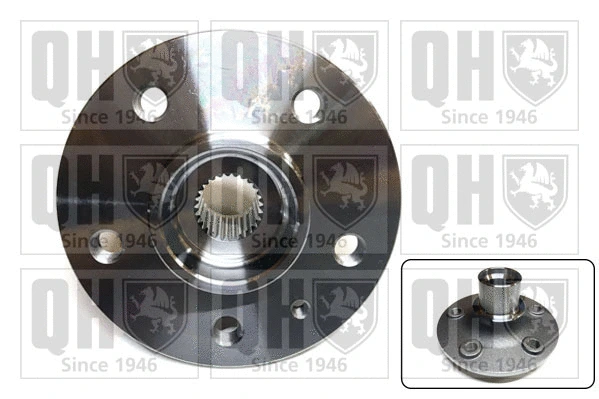 Wheel Hub (QWH197)