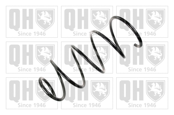 Suspension Spring (QCS5592)